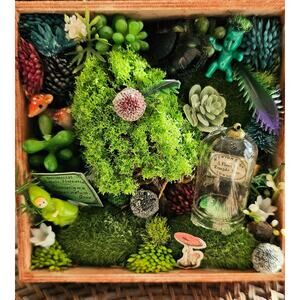 Through The Woods A handcrafted Shadow Box Mini